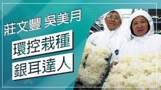 草地狀元-環控栽種銀耳達人(20180625播出)careermaster