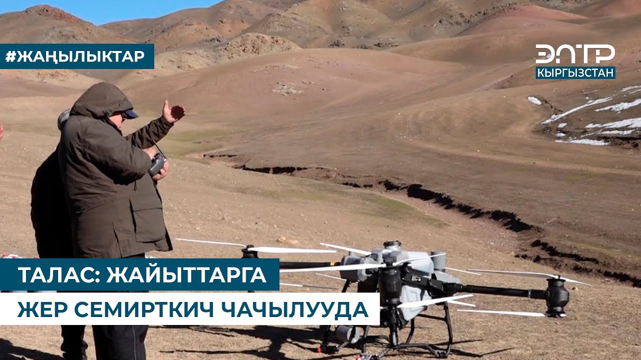 ТАЛАС: ЖАЙЫТТАРГА ЖЕР СЕМИРТКИЧ ЧАЧЫЛУУДА