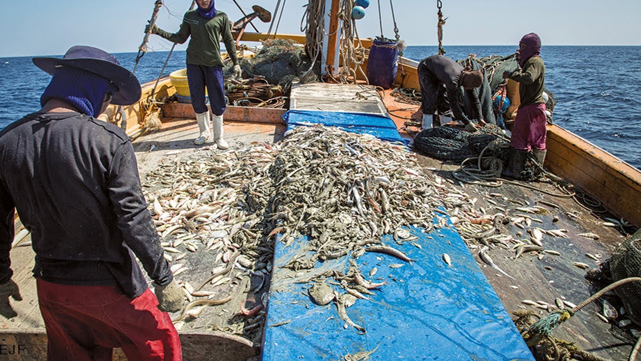 Life on a fisherman's boat - Sea Net Fishing 