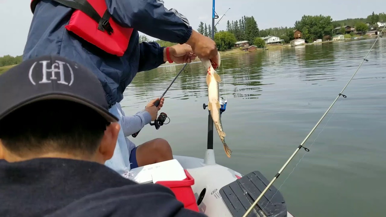 Fishing at Pine Lake Alberta 2017 YouTube