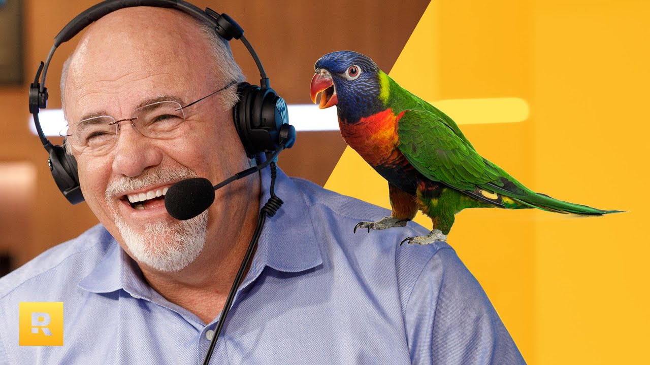 How Do I Get My Bird Training Business Off the Ground? (Wing It?) How Do I Get My Bird Training Business Off the Ground? (Wing It?)