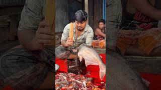Giant Pangash Fish Cutting- Ep 29 Fisheries