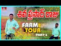 Farmer shiva prasad raju farm tour part1  agri info  hmtv agri