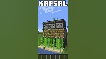 automatic sugar cane harvester