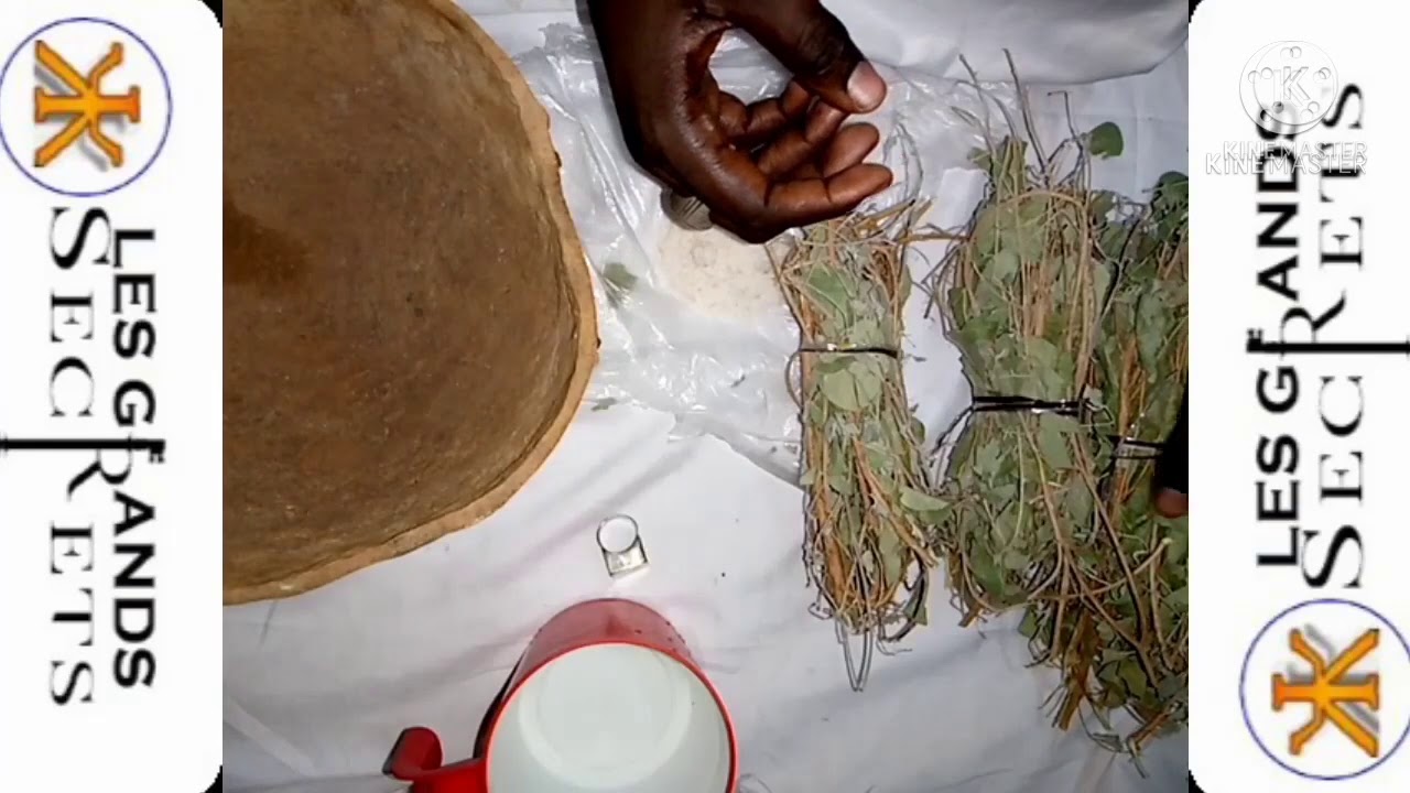 Xamxam dindi ligueye ak oumou si lo yomou lol