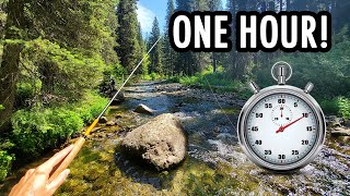 How Many Fish Can I Catch in an Hour? (Tenkara Fly Fishing)