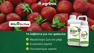 🍓 Silicon Ca Flow: Το Ασβέστιο Για Τη Φράουλα Που Κάνει Τη Διαφορά
