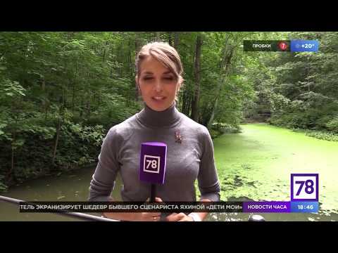 Рубрика Соседи. Экологические экскурсии. Программа Телекурьер.