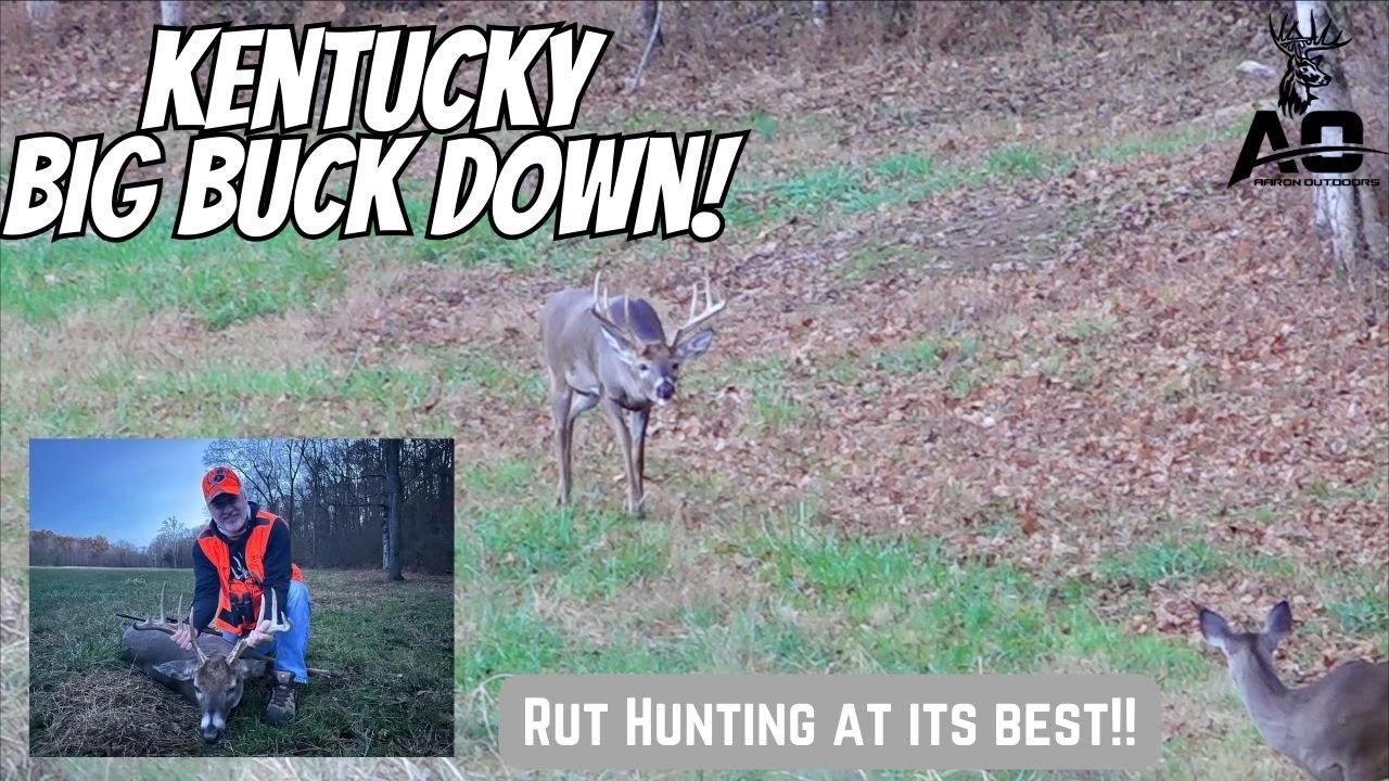Big Buck Down! Kentucky Gun Season 2023! YouTube
