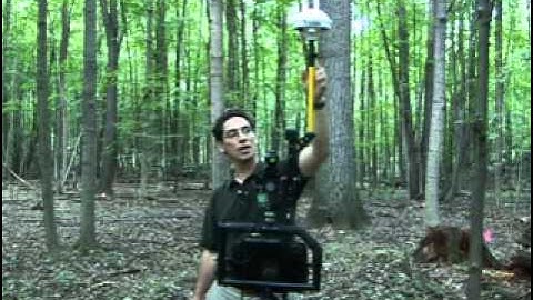 Mapping forest structure