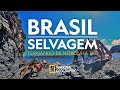 BRASIL SELVAGEM | Fernando de Noronha | 360 °