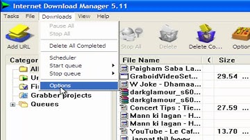 Integrating IDM to Internet Browsers