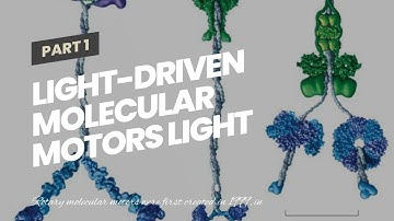 Light-driven molecular motors light up
