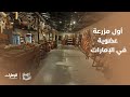 أول مزرعة عضوية في الإمارات برنامج أرضنا الطيبة 