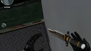 Cross Fire：OMG!!! This is Chinese game bug players！！！