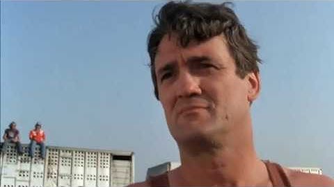 Any Which Way You Can, Eat em up Joe