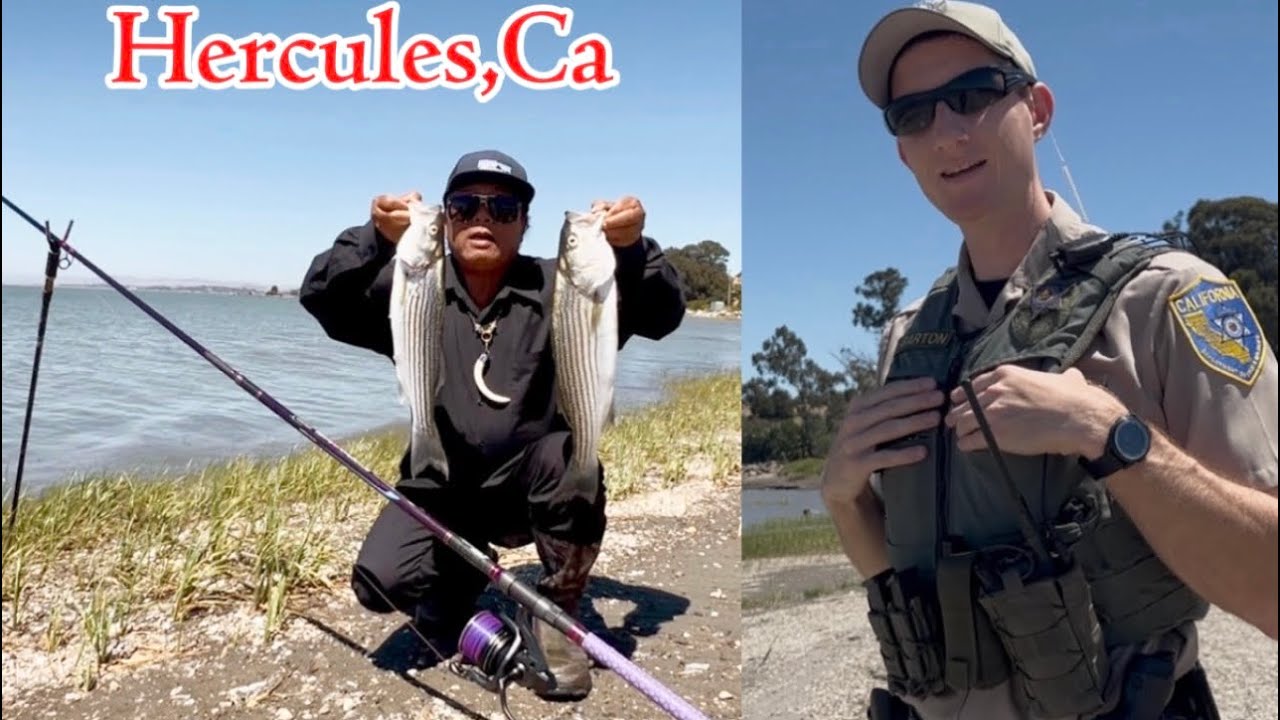 07/15/26 #stripedbass #update at Hercules,Ca. QA: Game Warden for Salmon ￼ regulation. ￼