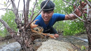 Scorpion Man Hunting Giant Mud Crab | The Most Amazing Scorpion man Vs Huge Mud Crab in Sea Swam