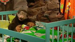 Koekeloere  Kleur Bekennen