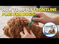How to Apply Frontline Plus Dog's Flea & Tick Treatment