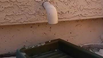 A/C condensate drain how to clean & unclog video