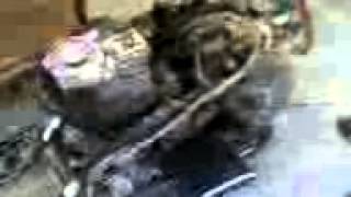 Prima Accensione Del Booster Evo By Livietto