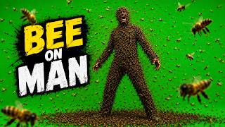Bee Attack Green Screen 4K | Thousands of Realistic Bees Swarm Man | ( Non Copyright )