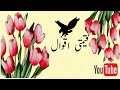 قیمتی اقوال 