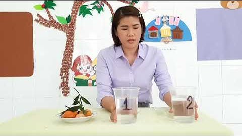 Như Hoa -Thí nghiệm quả quýt chìm nổi