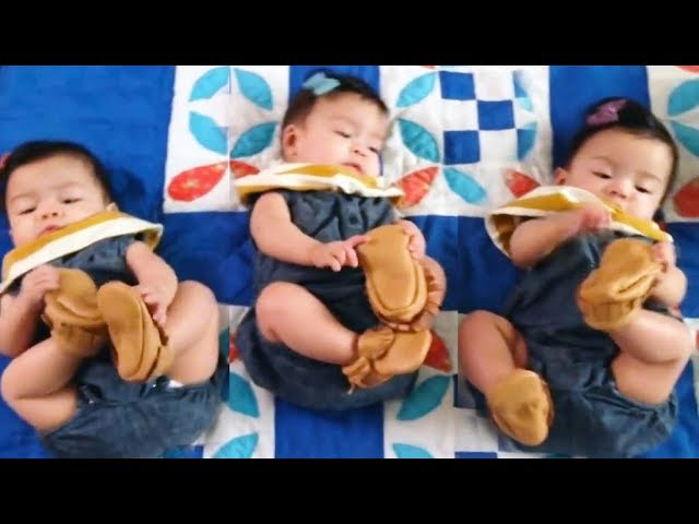 La Plupart Des Bebes Triples Adorables Font Fondre Vos Coeurs A 100 Youtube La Plupart Des Bebes Triples Adorables Font Fondre Vos Coeurs A 100 Youtube