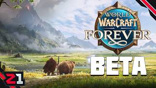 What Is World Of Warcraft Forever? BETA Gameplay Live Stream screenshot 4
