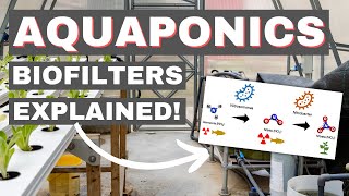 Learn This or FAIL in AQUAPONICS