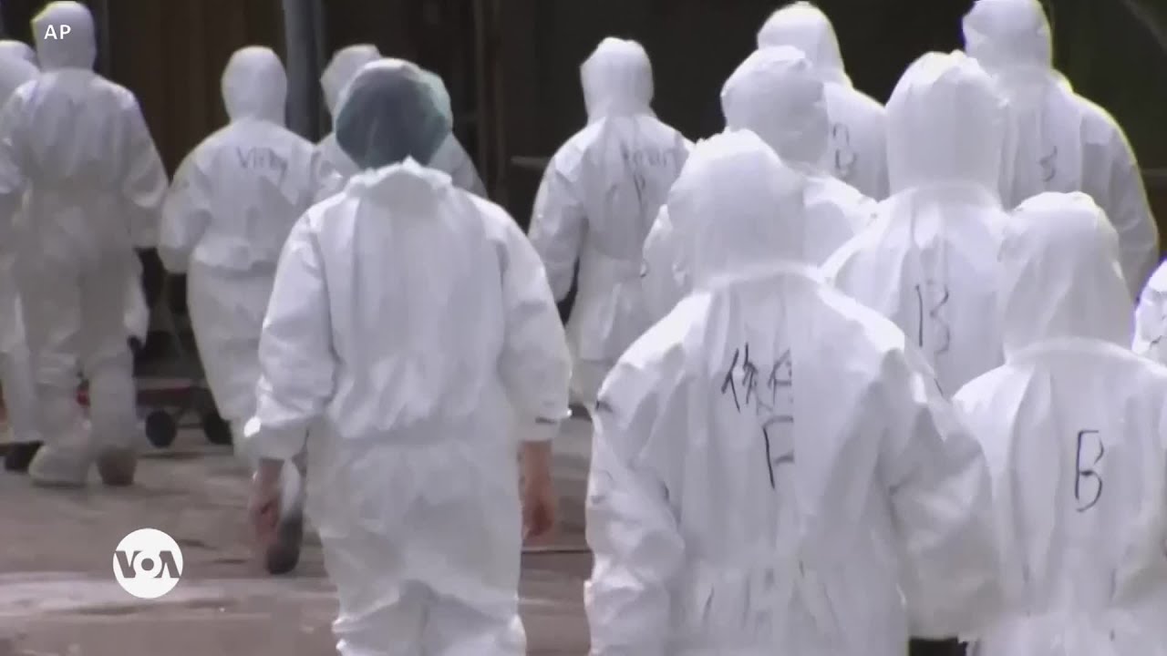 Healthy Living: Bringing Attention to Autism; Rare N3N8 Bird Flu Claims First Victim