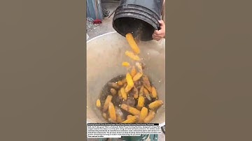 Amazing Animal Feed Pellet Making Machine | Fast Feed Production Technology 2025.