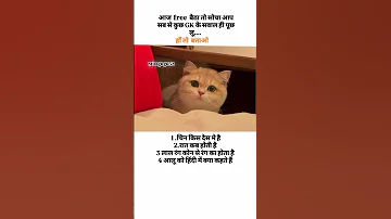 जव ब द क द ख ओ Youtube Comedy Video Youtube Shorts Cute Cat Viralvideo Missgugu32 Memes Jokes 