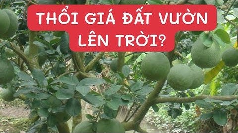 AI GÂY RA CƠN SỐT ĐẤT Ở BÌNH BA CHÂU ĐỨC BÀ RỊA VŨNG TÀU ?