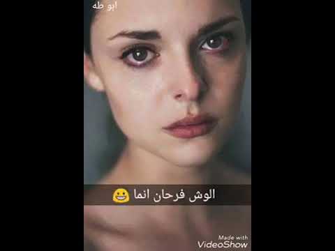 لازم تسايس