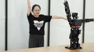 Gesture & Body Motion Control