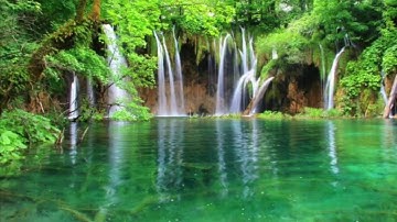 سورة عبس بصوت القارئ اكرم حسن