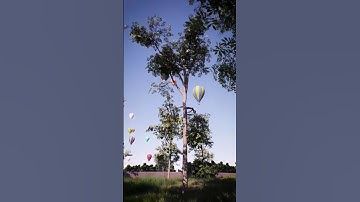 This is made by Unreal Engine