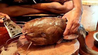 Amazing Man Cutting Catfish | Sea Eeltail Catfish Cutting Skills In Fish Market