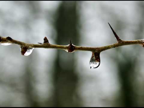 Haces llover. Diego Martín y Malú