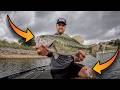 Koe Wetzel's Merch Guy Helps Me Break Down The Home Pond | Quick Swimjig &amp; Fluke HItter