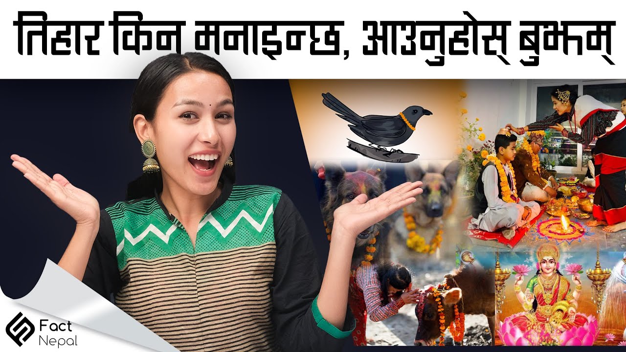 Why Tihar Is Celebrated Roshani Why Tihar Is Celebrated Roshani