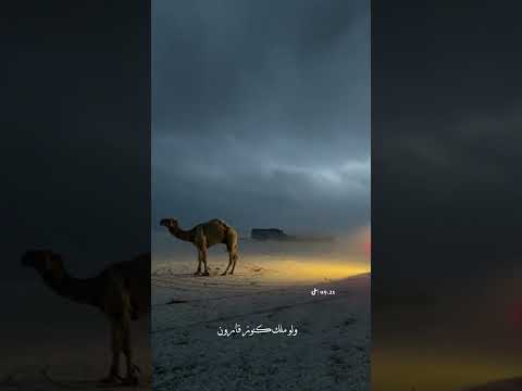 ليدرك المرء أن الأمور بيد الله Explore Fypyoutube مقاطع دينية اسلامية انشر تؤجر حالات واتس