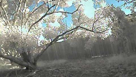 Hexacopter Backyard test flight