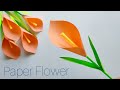 Easy paper flower  paper tulip flower  paper craft