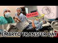 Embryo Transfer Day | Endometriosis Infertility IVF | Victory Reproductive Care