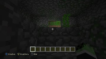 How to Solve the Lever Puzzle in Jungle Temples Minecraft Xbox One