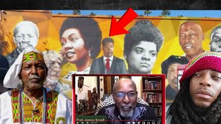 Professor Jame Smalls Speaks DIRECTLY To Tariq Nasheed's Method of Madness & FBA Xenophobia #truth